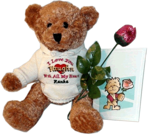Personalized Teddy Bears wearing embroidered hoodie